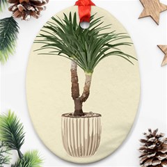 Tree Vector Art In A Flower Pot Oval Ornament (two Sides) by Sarkoni