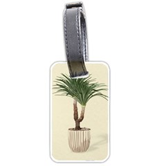 Tree Vector Art In A Flower Pot Luggage Tag (two Sides) by Sarkoni