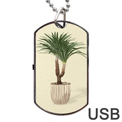 Tree Vector Art In A Flower Pot Dog Tag Usb Flash (two Sides) by Sarkoni