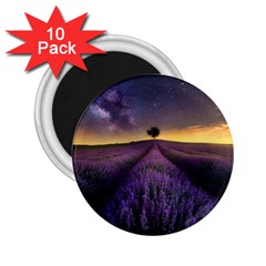 Bed Of Purple Petaled Flowers Photography Landscape Nature 2 25  Magnets (10 Pack)  by Sarkoni