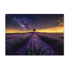 Bed Of Purple Petaled Flowers Photography Landscape Nature Sticker A4 (100 Pack) by Sarkoni