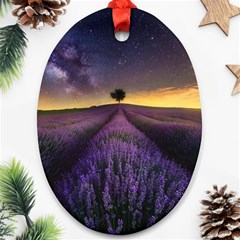 Bed Of Purple Petaled Flowers Photography Landscape Nature Oval Ornament (two Sides) by Sarkoni