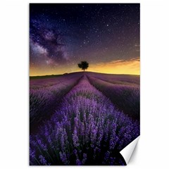 Bed Of Purple Petaled Flowers Photography Landscape Nature Canvas 12  X 18  by Sarkoni