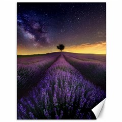 Bed Of Purple Petaled Flowers Photography Landscape Nature Canvas 36  X 48  by Sarkoni