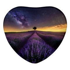 Bed Of Purple Petaled Flowers Photography Landscape Nature Heart Glass Fridge Magnet (4 Pack) by Sarkoni