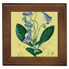 Botanical Plants Green Framed Tile by Sarkoni