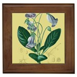 Botanical Plants Green Framed Tile Front