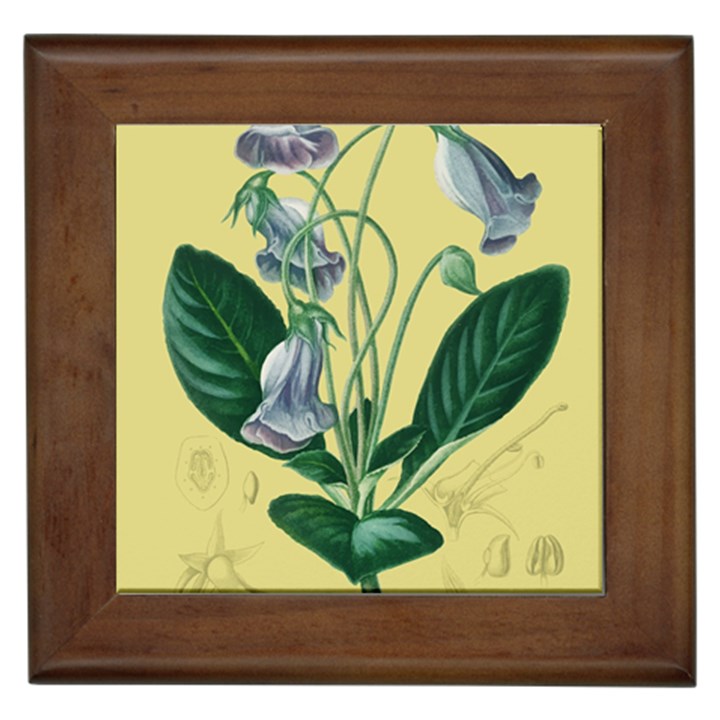 Botanical Plants Green Framed Tile