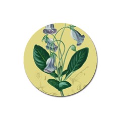 Botanical Plants Green Magnet 3  (round) by Sarkoni