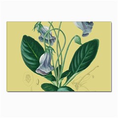 Botanical Plants Green Postcards 5  X 7  (pkg Of 10) by Sarkoni