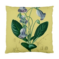 Botanical Plants Green Standard Cushion Case (one Side) by Sarkoni