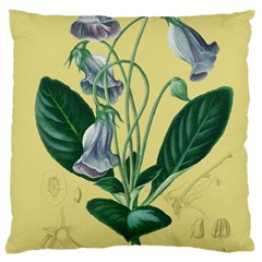 Botanical Plants Green Large Cushion Case (one Side) by Sarkoni