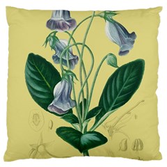 Botanical Plants Green Standard Premium Plush Fleece Cushion Case (one Side) by Sarkoni