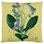 Botanical Plants Green Standard Premium Plush Fleece Cushion Case (One Side) Front