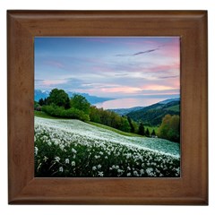 Field Of White Petaled Flowers Nature Landscape Framed Tile by Sarkoni