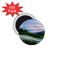 Field Of White Petaled Flowers Nature Landscape 1 75  Magnets (100 Pack)  by Sarkoni