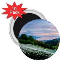 Field Of White Petaled Flowers Nature Landscape 2 25  Magnets (10 Pack)  by Sarkoni