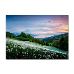 Field Of White Petaled Flowers Nature Landscape Sticker A4 (10 Pack) by Sarkoni