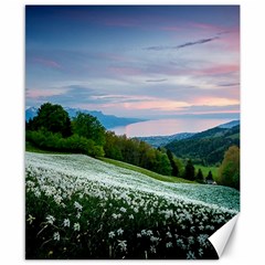 Field Of White Petaled Flowers Nature Landscape Canvas 8  X 10  by Sarkoni