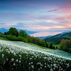 Field Of White Petaled Flowers Nature Landscape Play Mat (rectangle) by Sarkoni