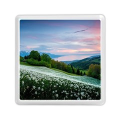 Field Of White Petaled Flowers Nature Landscape Memory Card Reader (square) by Sarkoni