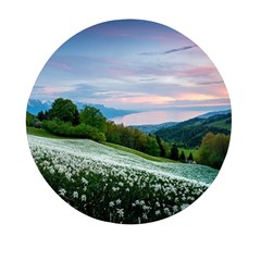 Field Of White Petaled Flowers Nature Landscape Mini Round Pill Box by Sarkoni