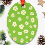 Daisy Flowers Floral Wallpaper Oval Ornament (Two Sides) Front