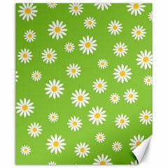 Daisy Flowers Floral Wallpaper Canvas 20  X 24  by Apen