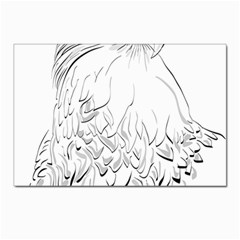 Eagle Birds Of Prey Raptor Postcards 5  X 7  (pkg Of 10) by Modalart