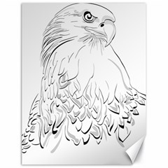 Eagle Birds Of Prey Raptor Canvas 18  X 24  by Modalart