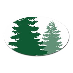 Pine Trees Spruce Tree Oval Magnet