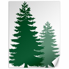 Pine Trees Spruce Tree Canvas 12  x 16 