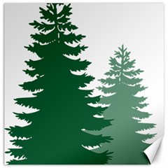 Pine Trees Spruce Tree Canvas 16  x 16 