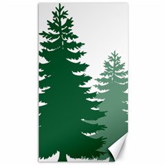 Pine Trees Spruce Tree Canvas 40  x 72 