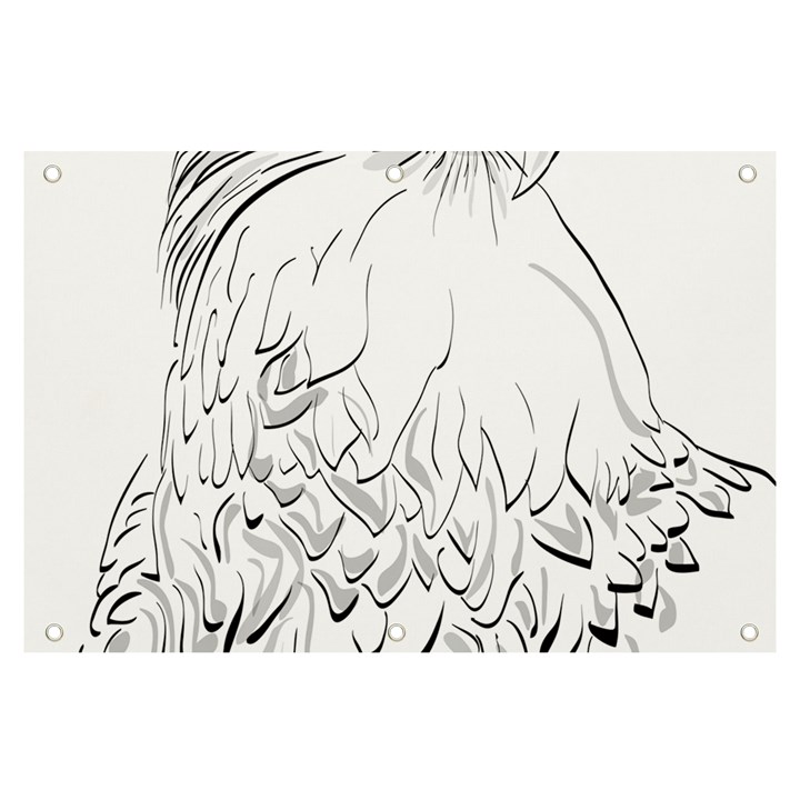 Eagle Birds Of Prey Raptor Banner and Sign 6  x 4 