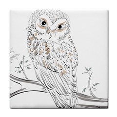 Owl Bird Wildlife Bird Of Prey Tile Coaster by Modalart