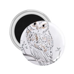 Owl Bird Wildlife Bird Of Prey 2.25  Magnets