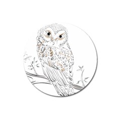 Owl Bird Wildlife Bird Of Prey Magnet 3  (Round)