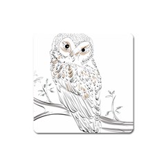 Owl Bird Wildlife Bird Of Prey Square Magnet