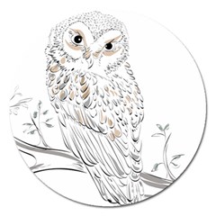 Owl Bird Wildlife Bird Of Prey Magnet 5  (Round)