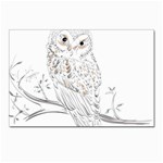 Owl Bird Wildlife Bird Of Prey Postcards 5  x 7  (Pkg of 10) Front