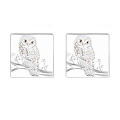 Owl Bird Wildlife Bird Of Prey Cufflinks (square) by Modalart