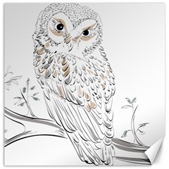 Owl Bird Wildlife Bird Of Prey Canvas 12  x 12 