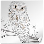 Owl Bird Wildlife Bird Of Prey Canvas 16  x 16  15.2 x15.41  Canvas - 1