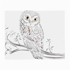 Owl Bird Wildlife Bird Of Prey Small Glasses Cloth (2 Sides)