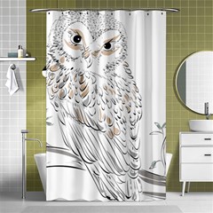 Owl Bird Wildlife Bird Of Prey Shower Curtain 48  X 72  (small) 