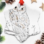 Owl Bird Wildlife Bird Of Prey Ornament (Snowflake) Front