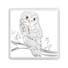 Owl Bird Wildlife Bird Of Prey Memory Card Reader (square) by Modalart