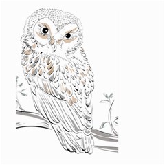 Owl Bird Wildlife Bird Of Prey Large Garden Flag (two Sides)