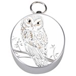 Owl Bird Wildlife Bird Of Prey Silver Compasses Front